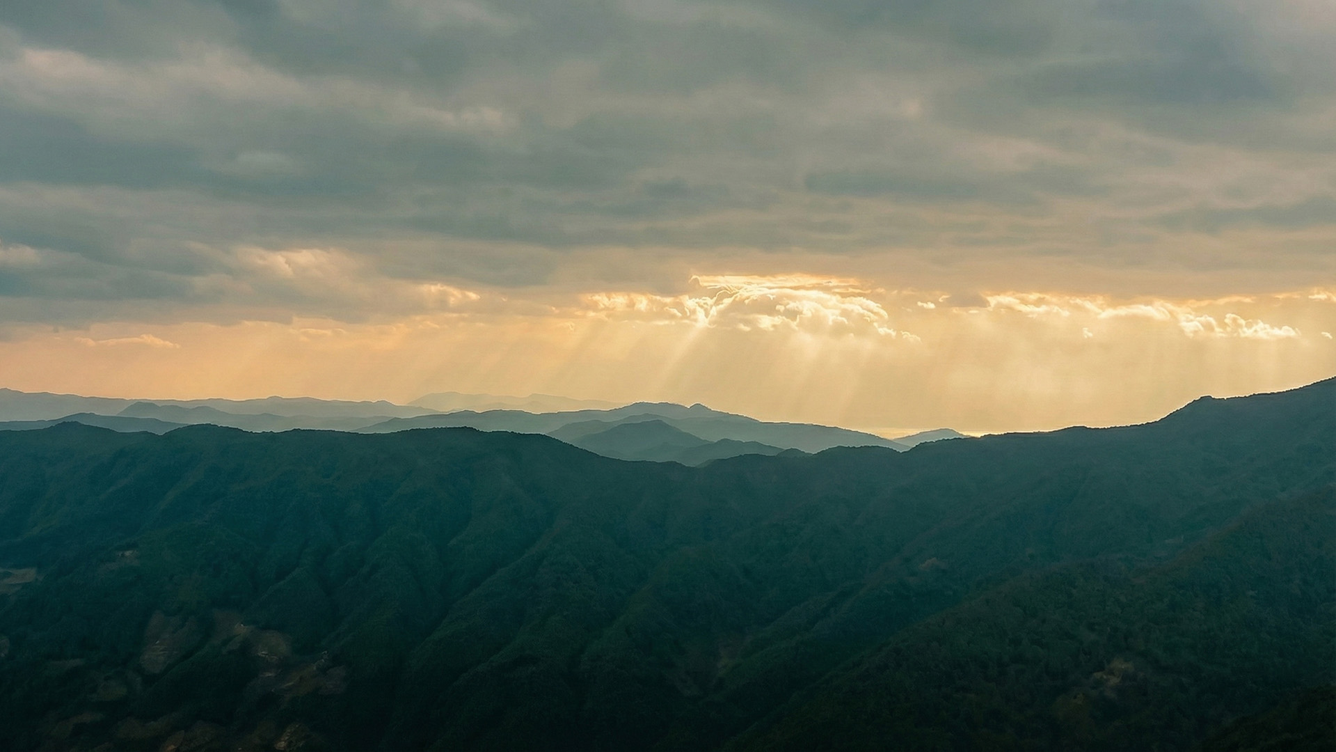 古大爷古树普洱茶云南古茶园层峦叠嶂自然景观